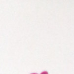 Taline Amoriele oliveira